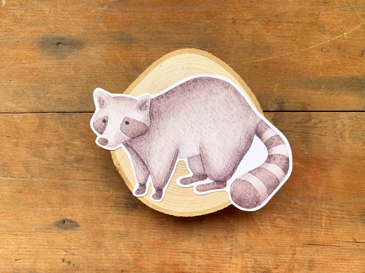 Raccoon Watercolour Laptop Sticker, Cute Forest Animal Decal, Cute Raccoon Animal Lovers Gift, Zoology Vinyl Sticker Raccoon Lovers Gift