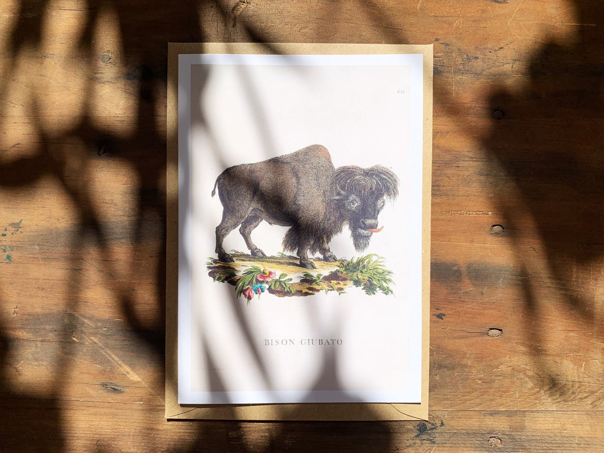 Funny Bison Greetings Card, Nature Lovers and Farming Birthday Card, Weird Vintage Animal Illustration Card, Natural History Blank Card