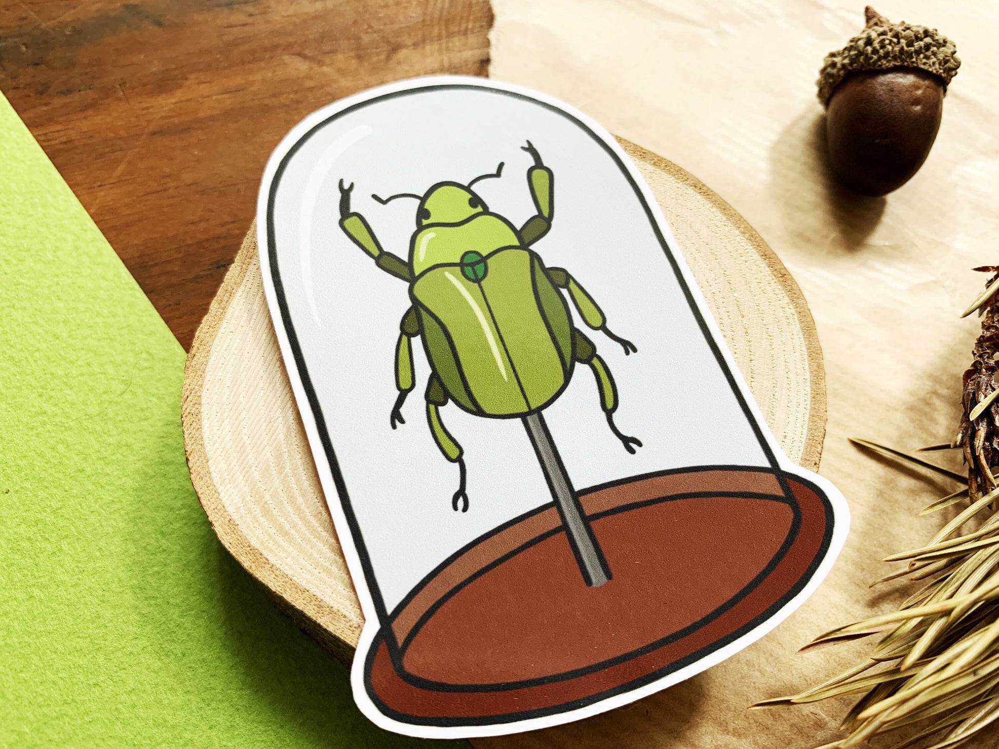 Green Beetle Bell Jar Sticker, Natural History Lovers Entomology Gift, Cute Insect in a Specimen Jar Laptop Sticker, Small Nature Lover Gift