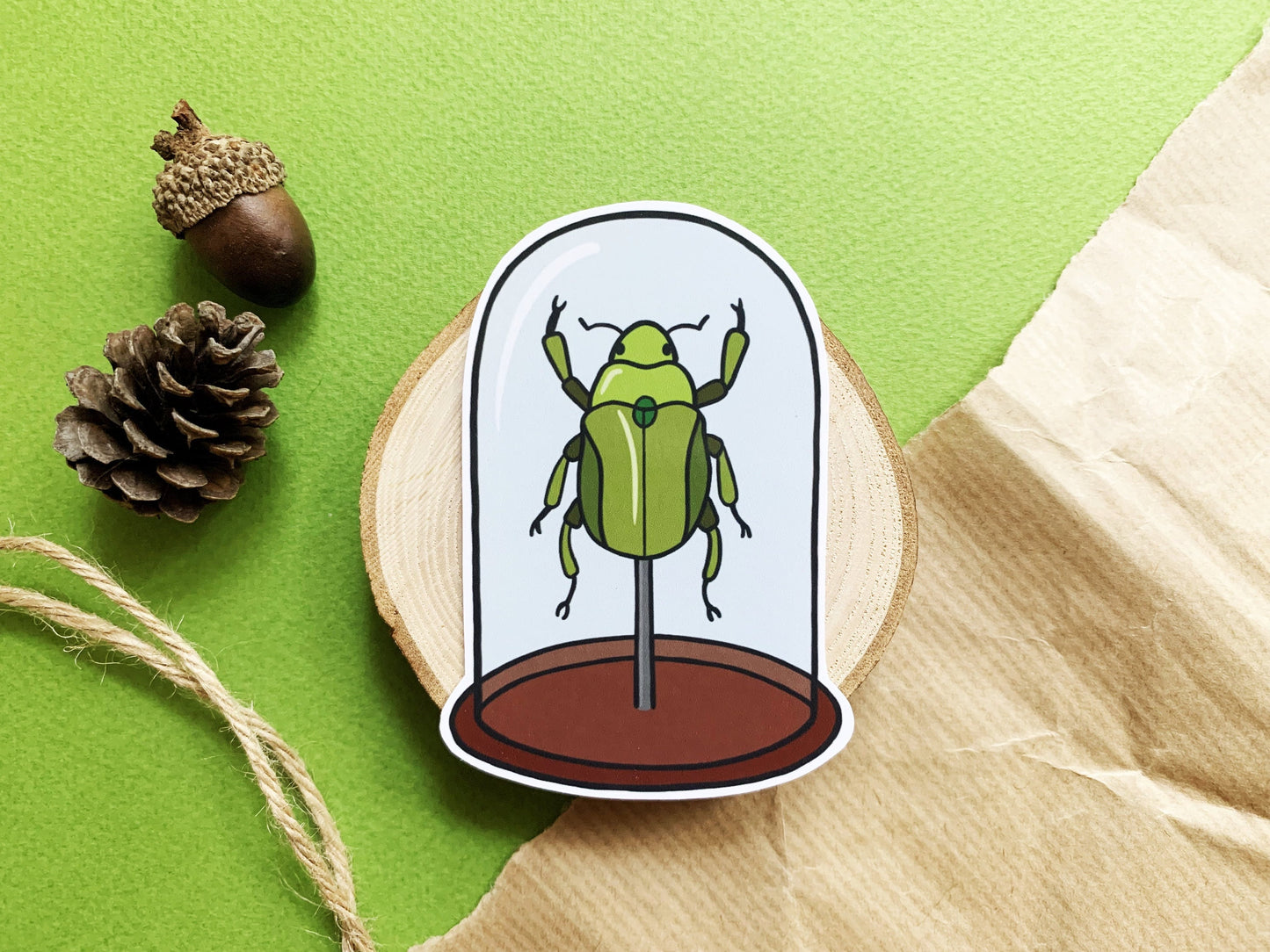 Green Beetle Bell Jar Sticker, Natural History Lovers Entomology Gift, Cute Insect in a Specimen Jar Laptop Sticker, Small Nature Lover Gift