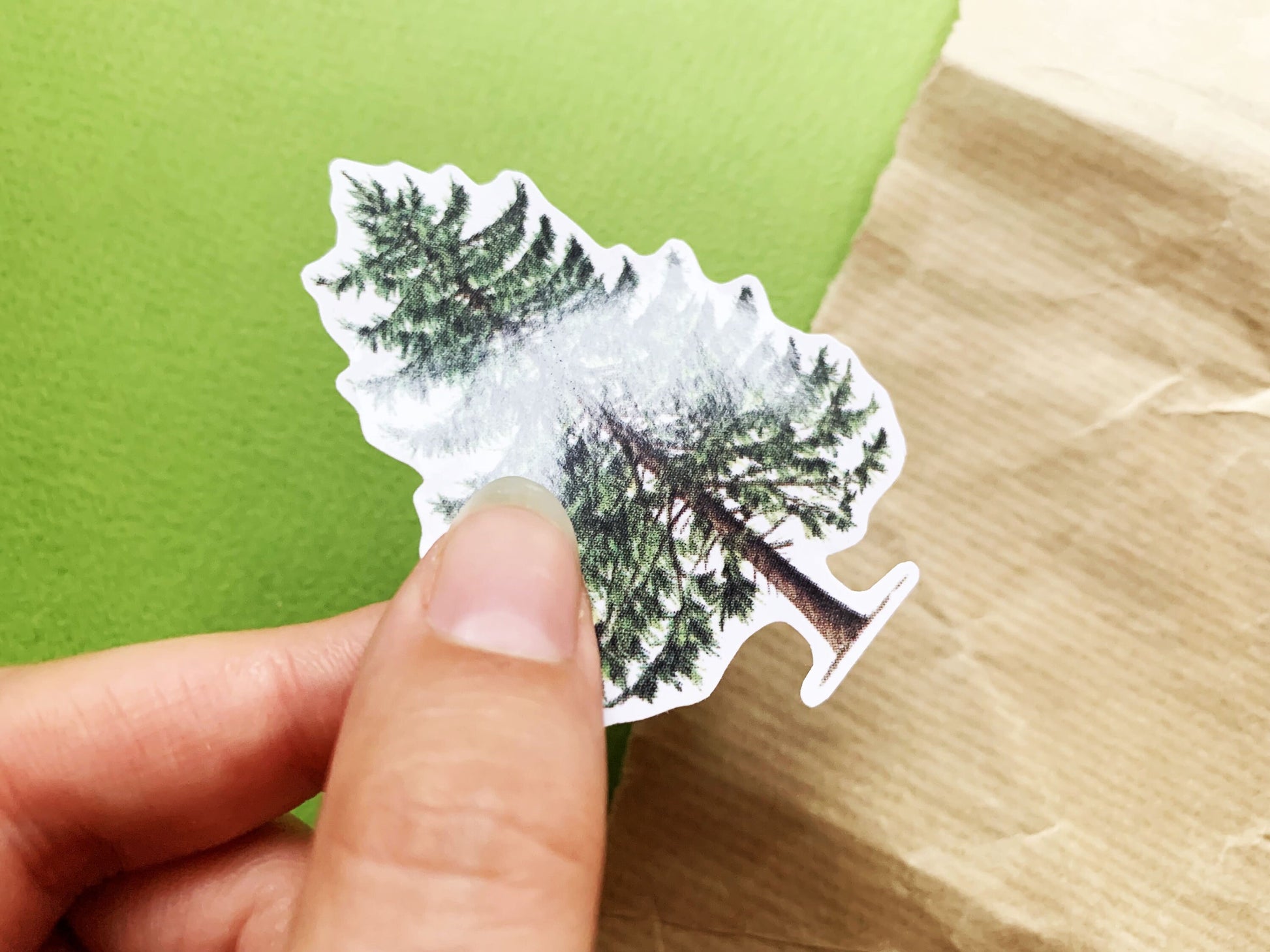 Illustrated British Larch Tree, Bullet Journal Nature Sticker, Vintage Pine Tree Decal, Nature Lovers and Hikers Gift for Nature Journaling