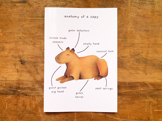 Funny Capybara Greetings Card, Funny Animal Anatomy Cards Blank Inside, Cute Sleeping Capybara Lovers Birthday Card, Rodent Meme Card
