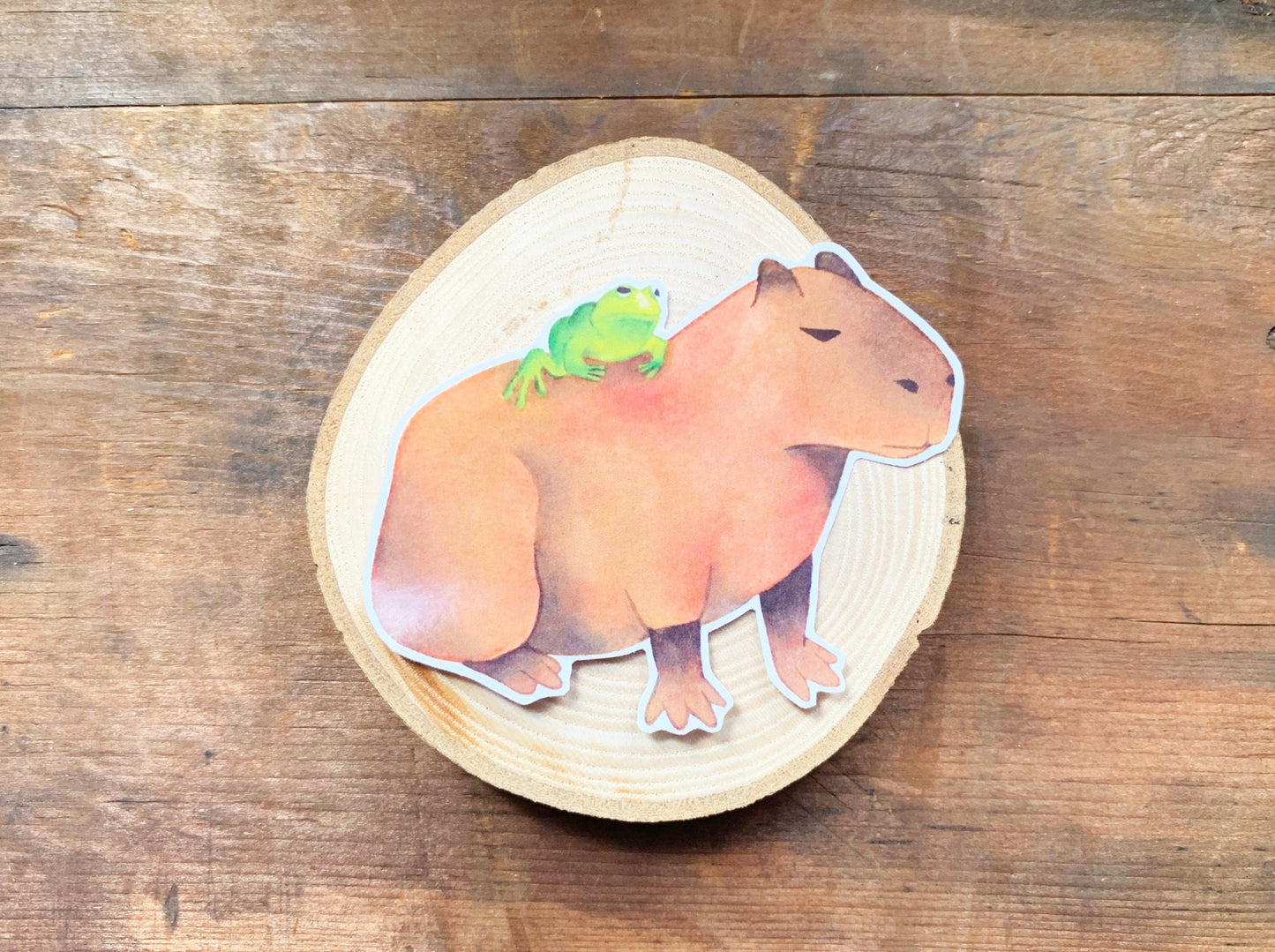 Unbothered Frog on an Unbothered Capybara Gloss Sticker, Funny Frog and Capybara Meme Gift for Animal Lovers, Cute Rare Animal Stationery