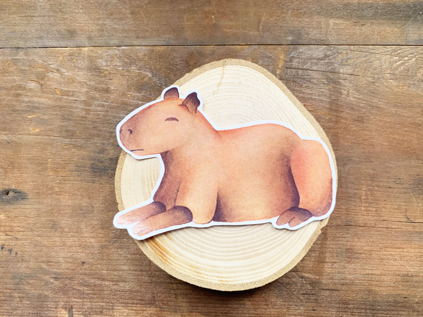 Adorable Sleeping Capybara Gloss Sticker, Rare Animal Small Stationery Gift, Capybara Meme Best Friend Gift, Cute Animal Laptop Decal