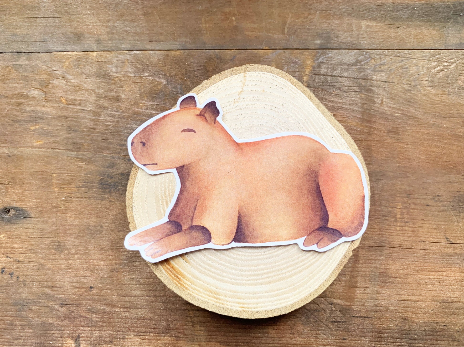 Adorable Sleeping Capybara Gloss Sticker, Rare Animal Small Stationery Gift, Capybara Meme Best Friend Gift, Cute Animal Laptop Decal