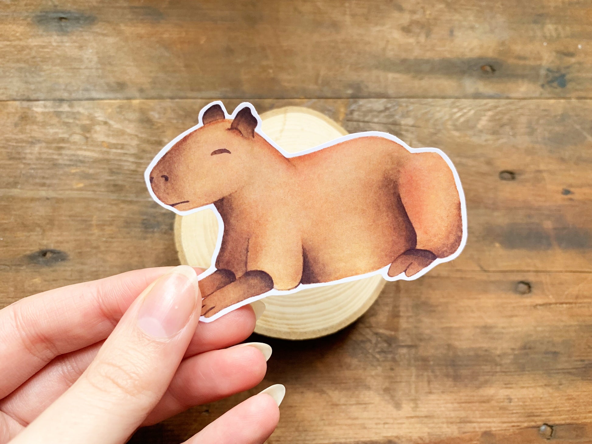 Adorable Sleeping Capybara Gloss Sticker, Rare Animal Small Stationery Gift, Capybara Meme Best Friend Gift, Cute Animal Laptop Decal