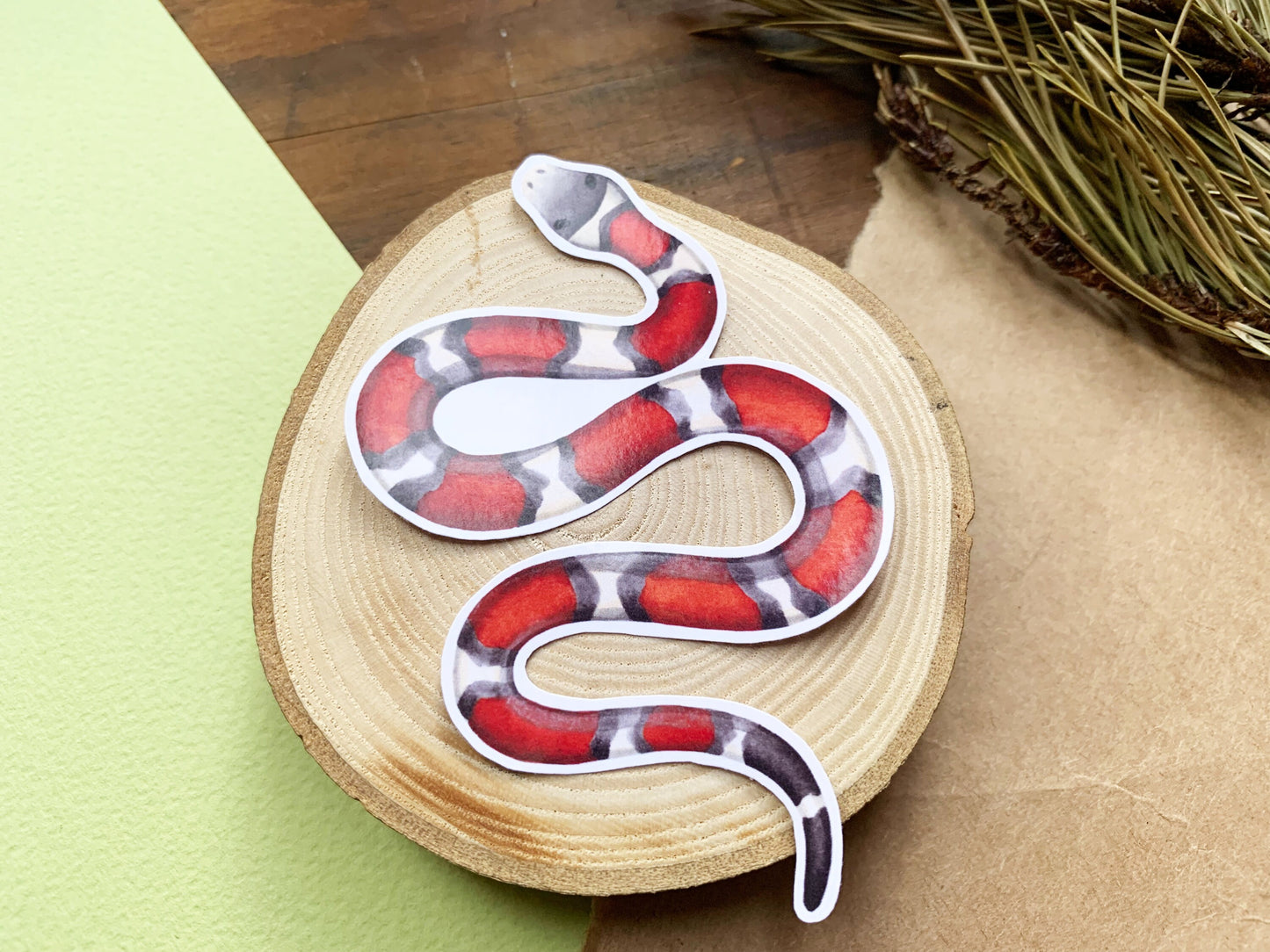 Red Milk Snake Gloss Sticker, Snake Laptop or Phone Sticker Small Gift for Snake Owners, Cute Striped Snake Unusual Pet Animal Sticker