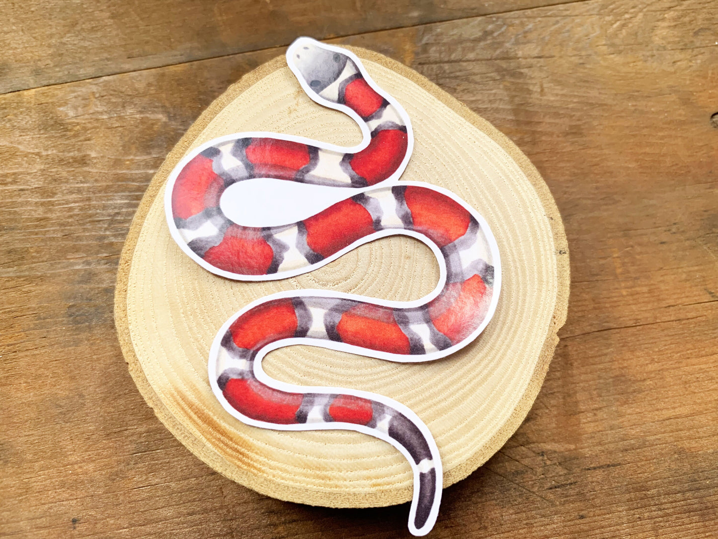 Red Milk Snake Gloss Sticker, Snake Laptop or Phone Sticker Small Gift for Snake Owners, Cute Striped Snake Unusual Pet Animal Sticker