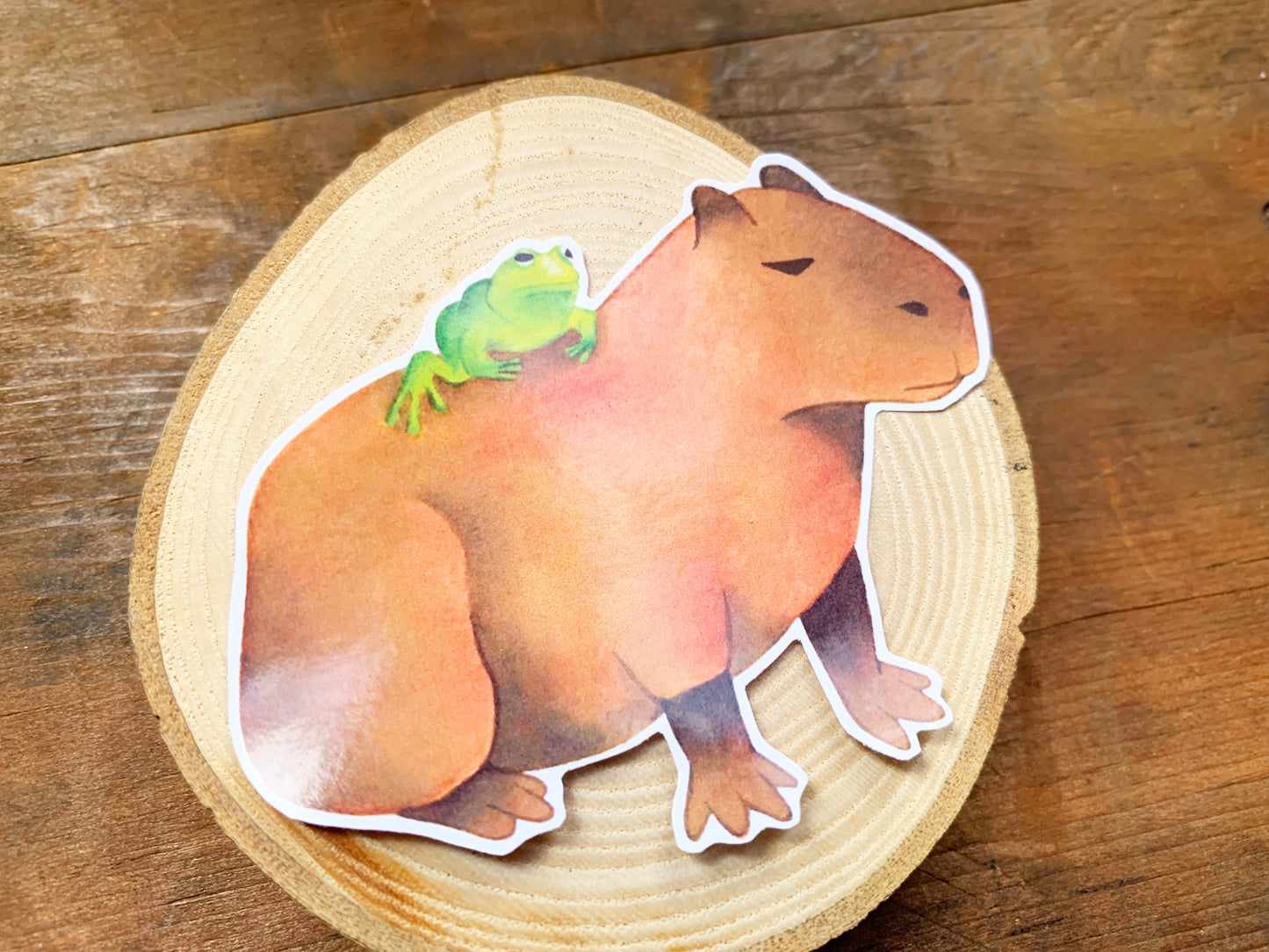 Unbothered Frog on an Unbothered Capybara Gloss Sticker, Funny Frog and Capybara Meme Gift for Animal Lovers, Cute Rare Animal Stationery