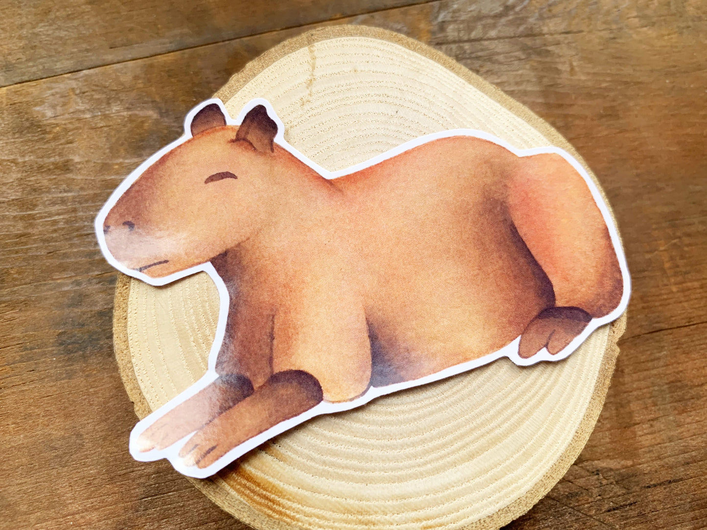 Adorable Sleeping Capybara Gloss Sticker, Rare Animal Small Stationery Gift, Capybara Meme Best Friend Gift, Cute Animal Laptop Decal