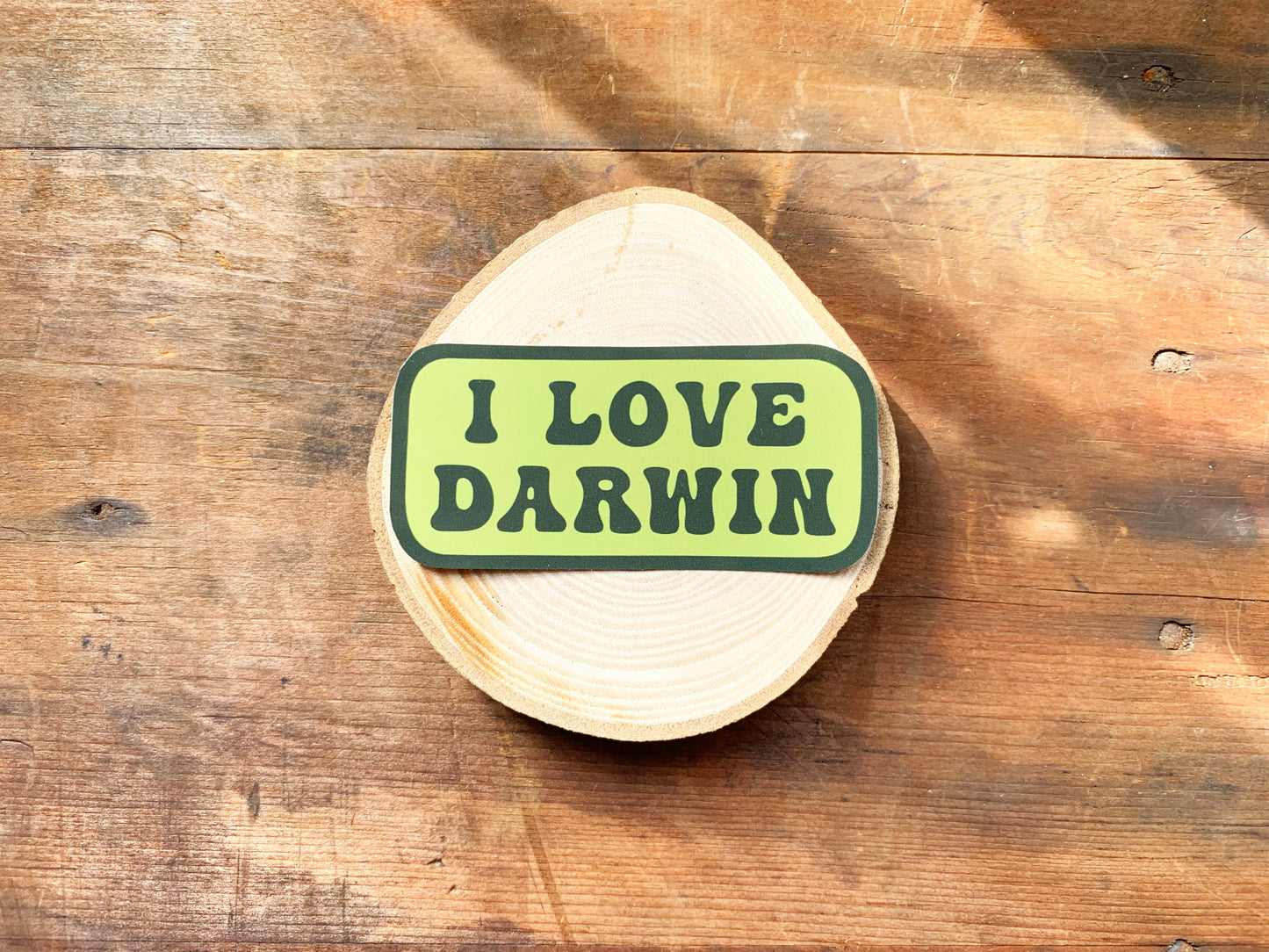 I Love Darwin Gloss Laptop Sticker, Natural History Themed Small Gift, Retro Style Natural Selection & Theory of Evolution Phone Sticker