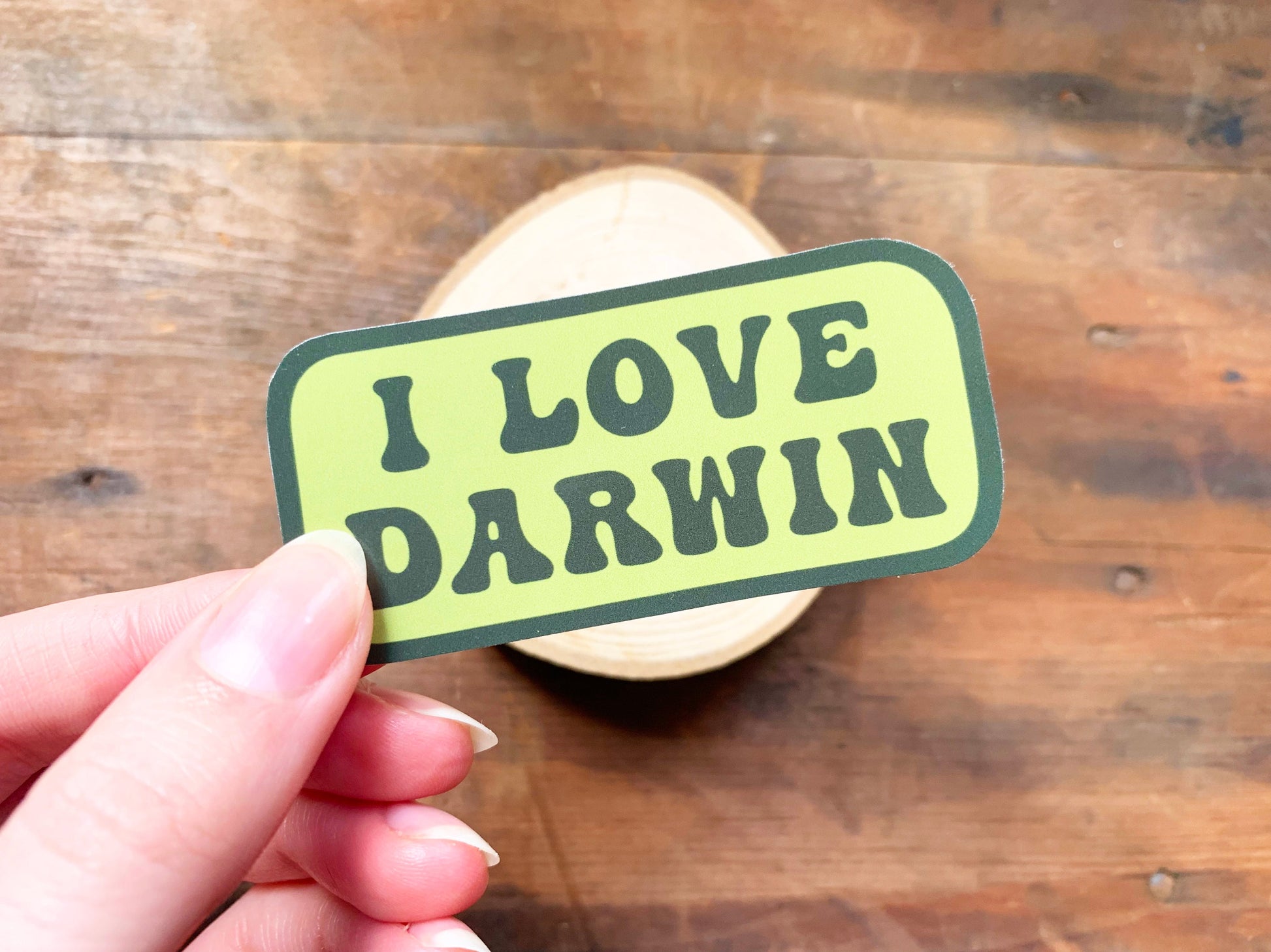 I Love Darwin Gloss Laptop Sticker, Natural History Themed Small Gift, Retro Style Natural Selection & Theory of Evolution Phone Sticker