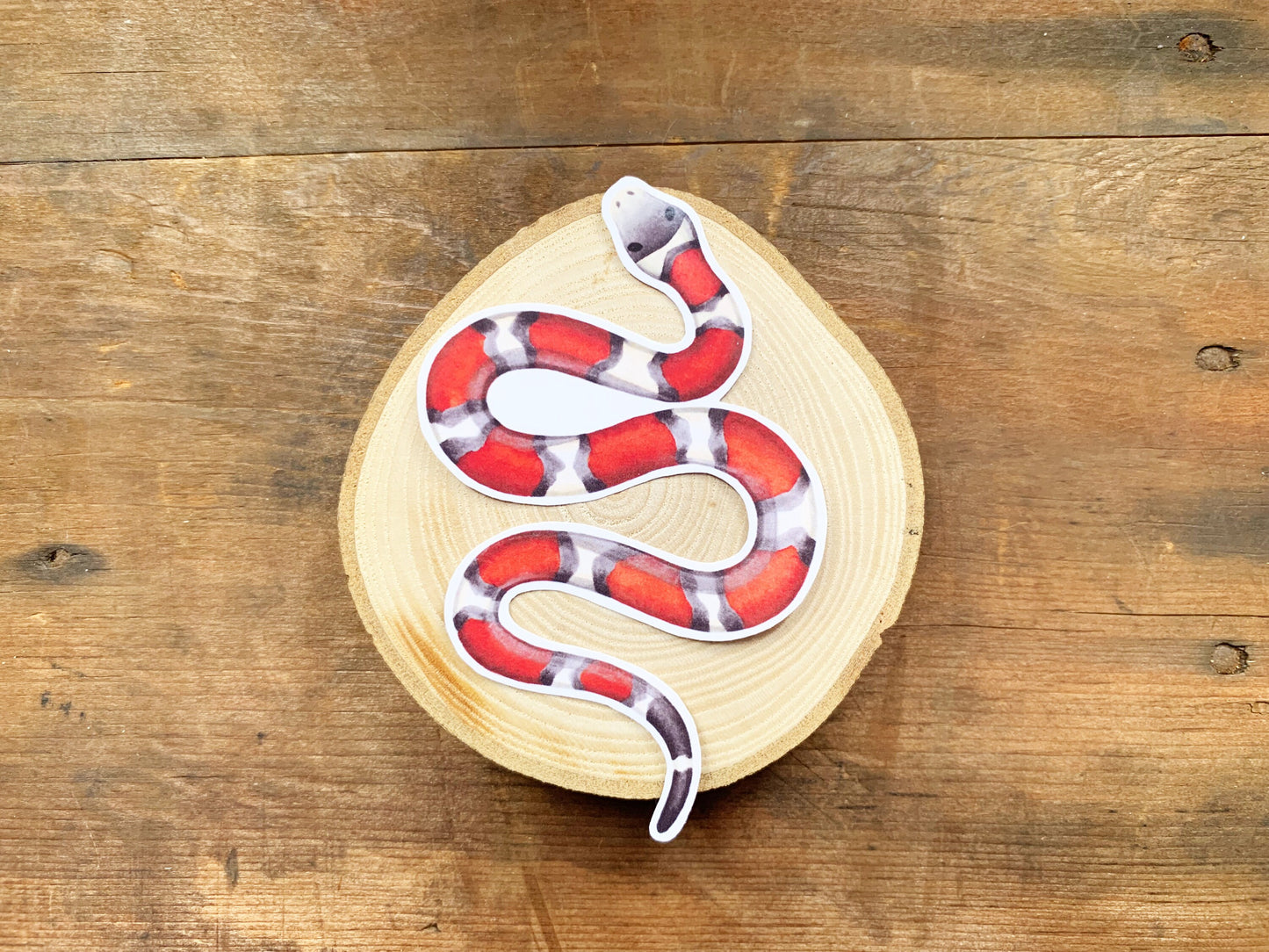 Red Milk Snake Gloss Sticker, Snake Laptop or Phone Sticker Small Gift for Snake Owners, Cute Striped Snake Unusual Pet Animal Sticker