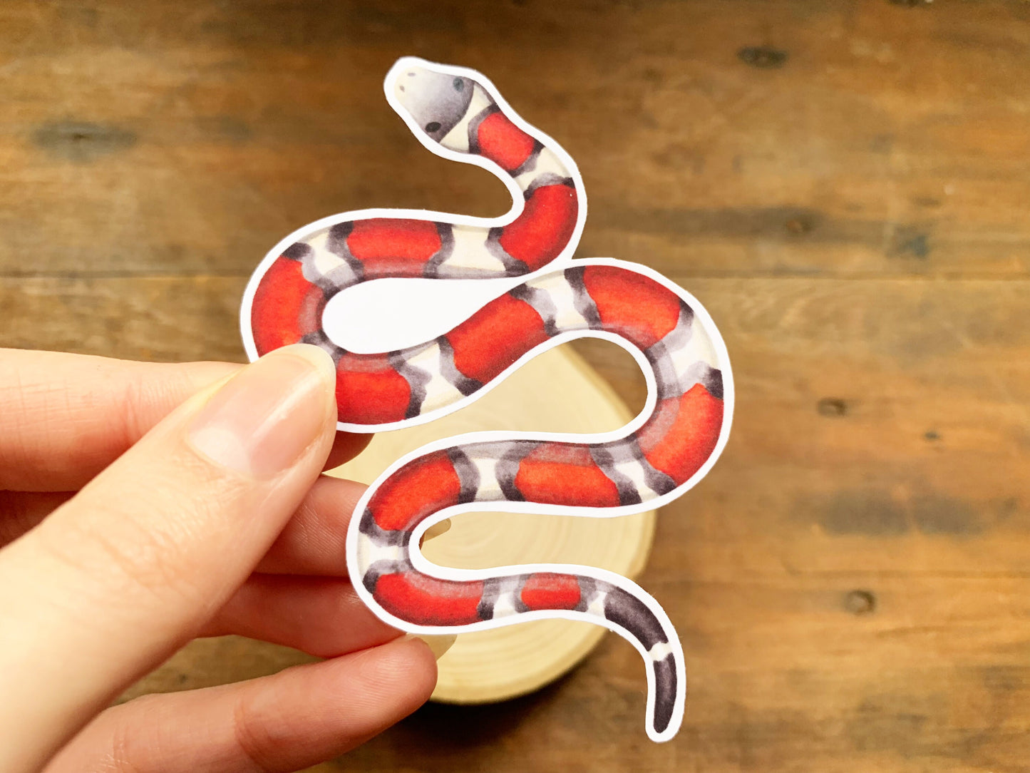 Red Milk Snake Gloss Sticker, Snake Laptop or Phone Sticker Small Gift for Snake Owners, Cute Striped Snake Unusual Pet Animal Sticker