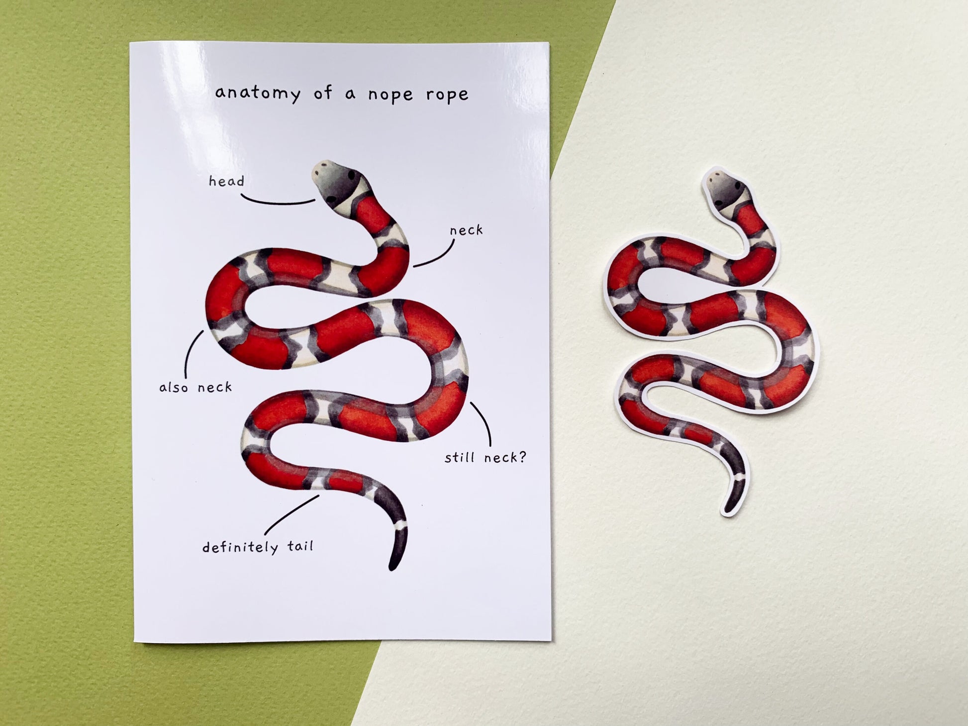 Red Milk Snake Gloss Sticker, Snake Laptop or Phone Sticker Small Gift for Snake Owners, Cute Striped Snake Unusual Pet Animal Sticker